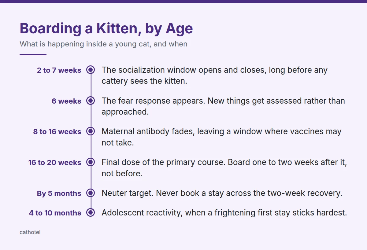Summary card: Boarding a Kitten, by Age