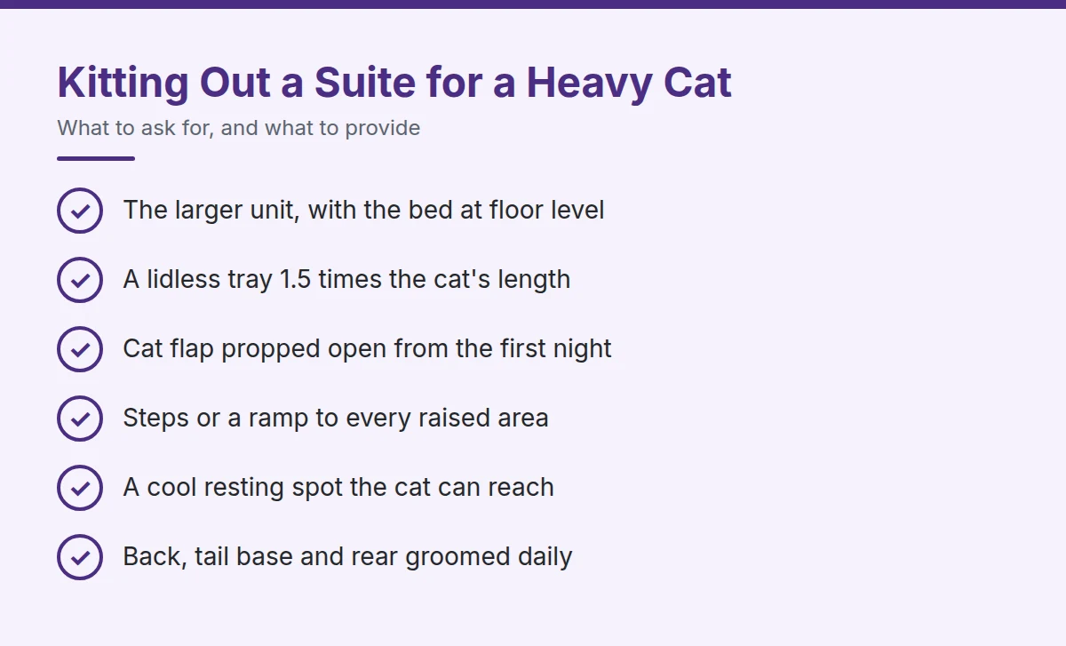 Summary card: Kitting Out a Suite for a Heavy Cat