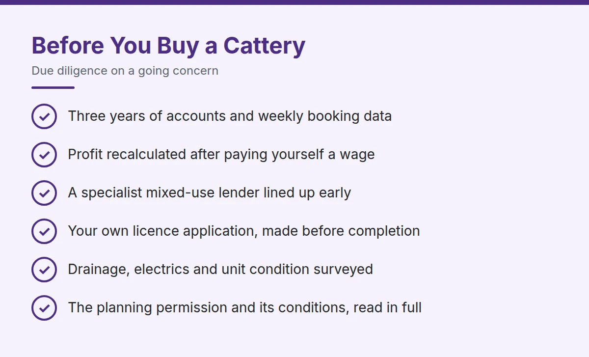 Summary card: Before You Buy a Cattery