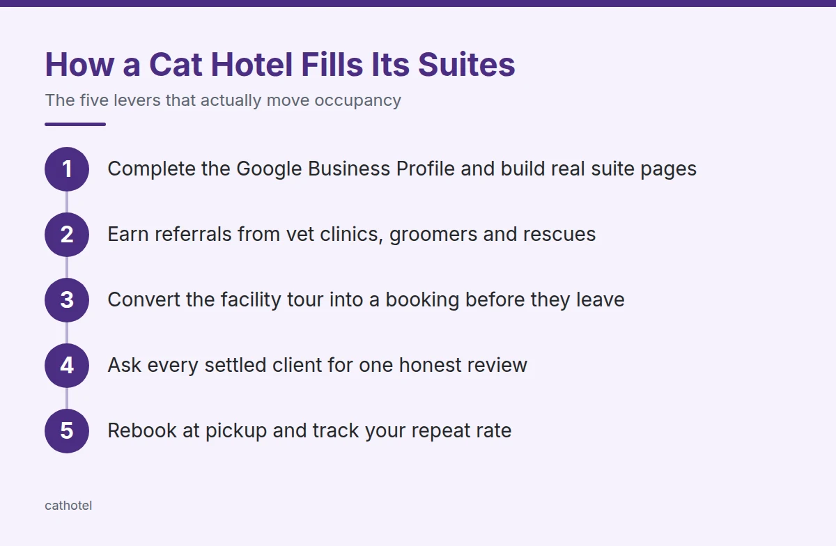 Summary card: How a Cat Hotel Fills Its Suites