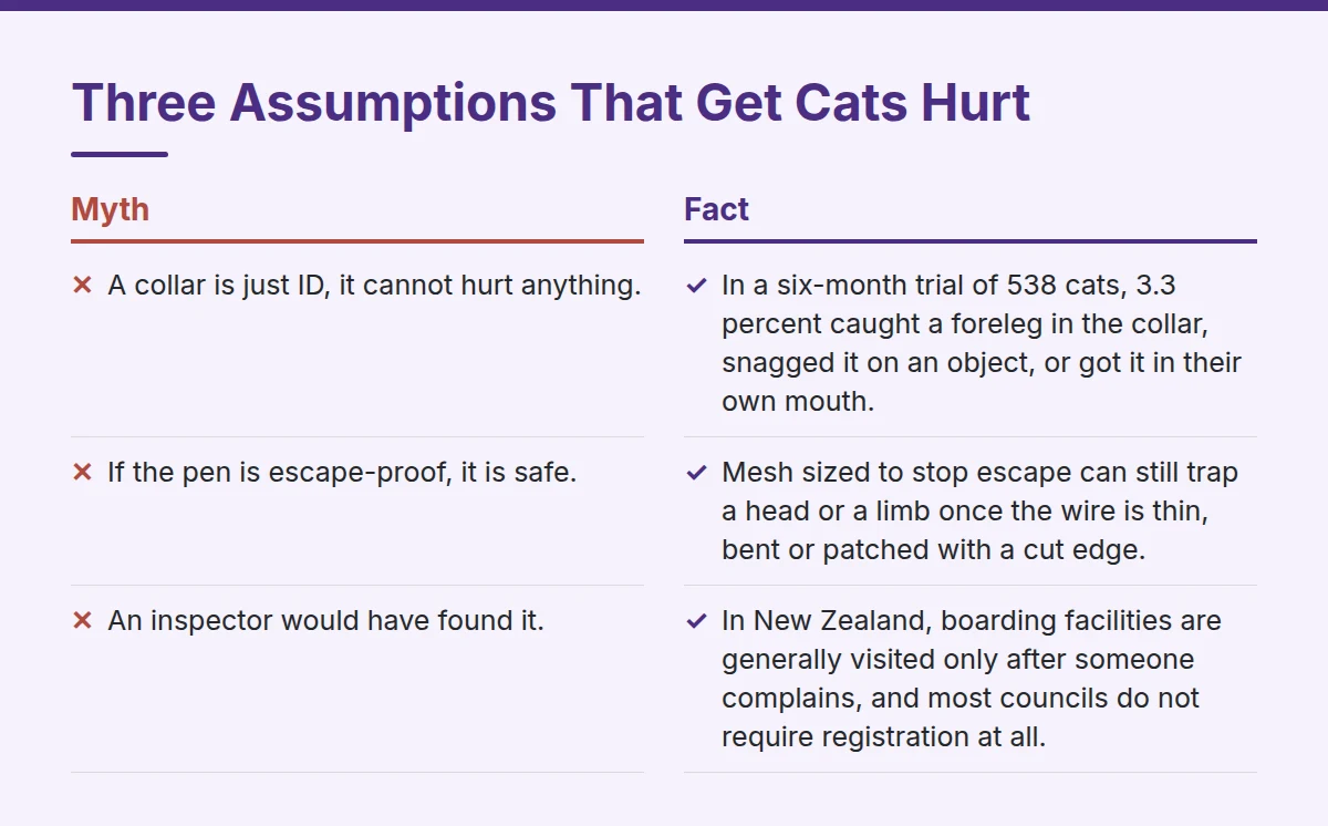Summary card: Three Assumptions That Get Cats Hurt