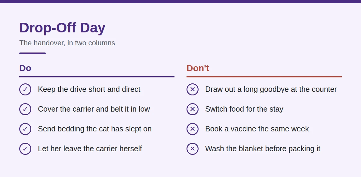 Summary card: Drop-Off Day