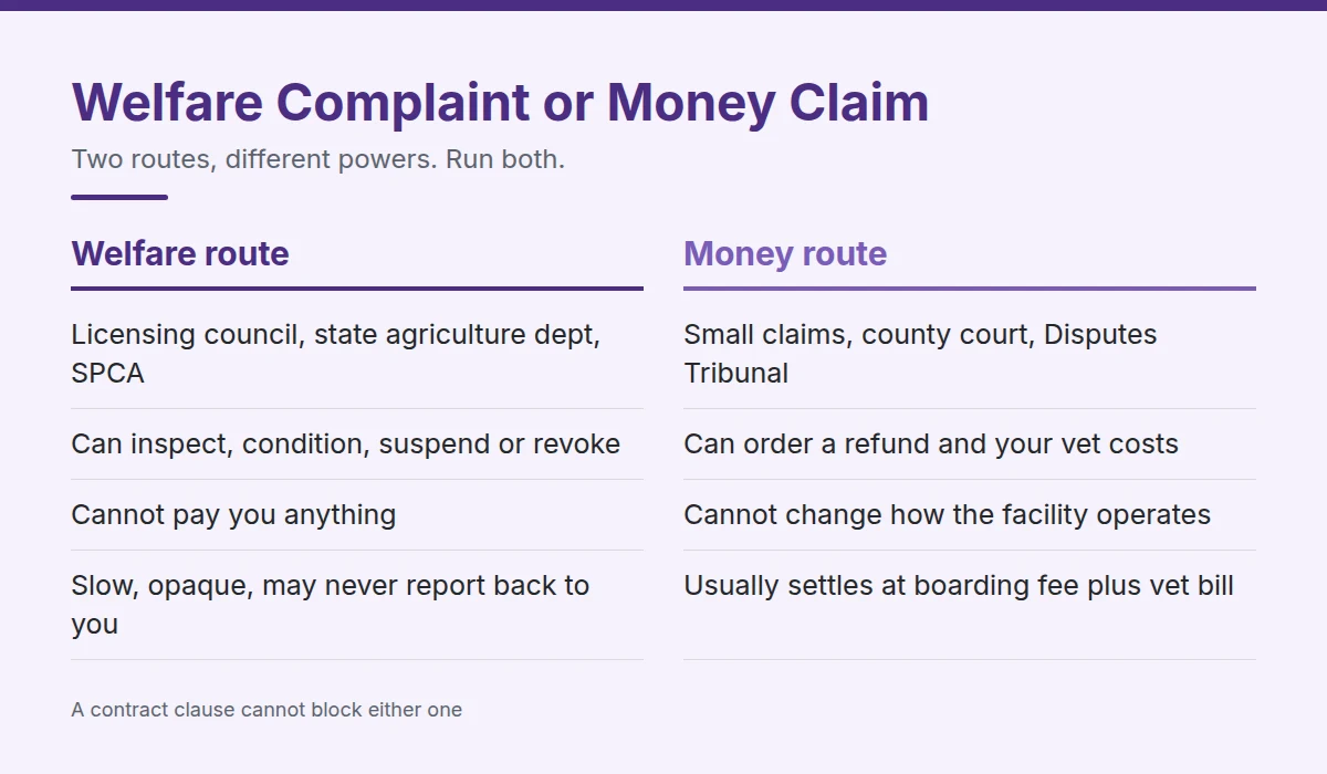 Summary card: Welfare Complaint or Money Claim