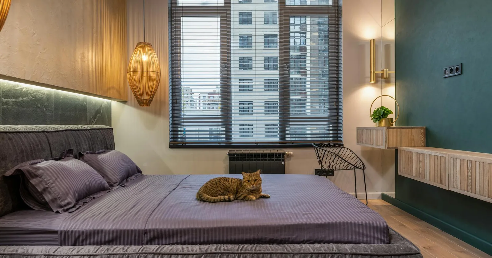 Luxurious modern bedroom interior with a relaxed cat, soft lighting, and urban view.