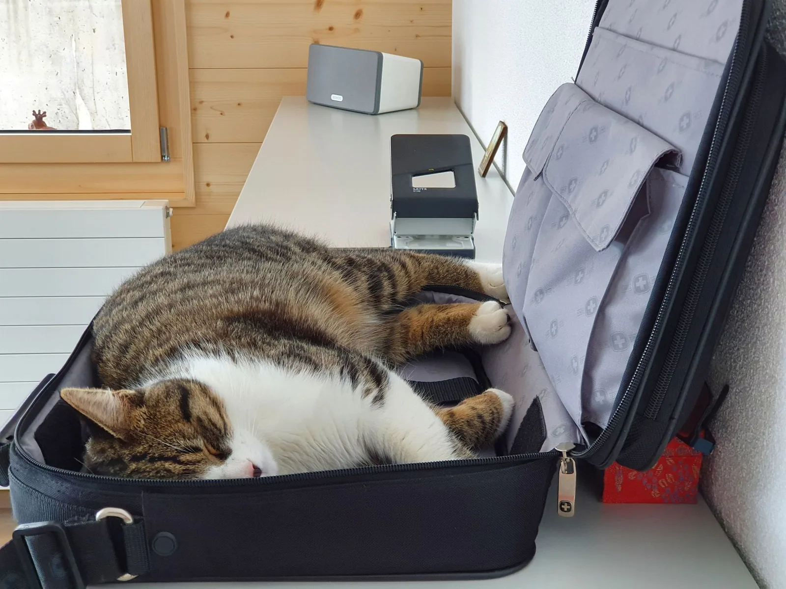 A relaxed cat sleeping inside an open suitcase on a desk in a cozy home office.