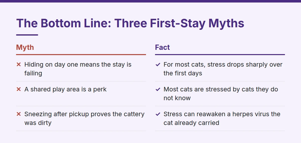 Summary card: The Bottom Line: Three First-Stay Myths