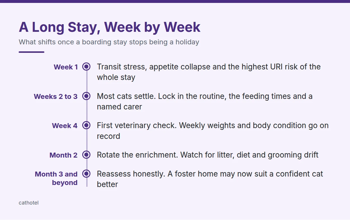 Summary card: A Long Stay, Week by Week