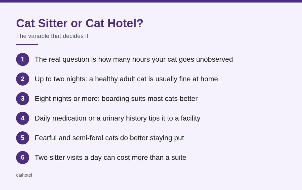Summary card: Cat Sitter or Cat Hotel?